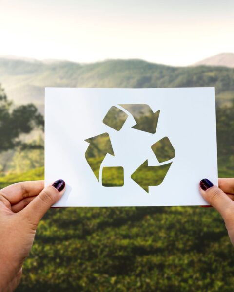 Gestión de recursos reciclables: Cómo maximizar su valor en la empresa